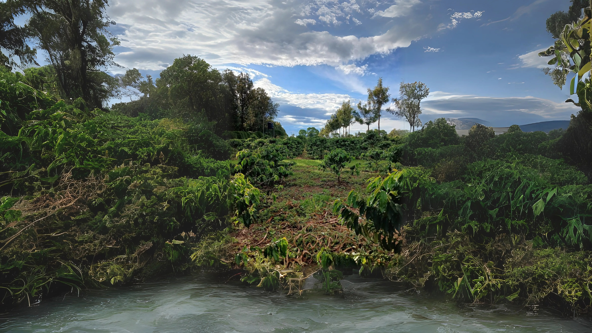 Untitled design (15)